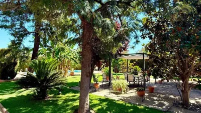 Rustic House in Cortijo de La Torre photo 23