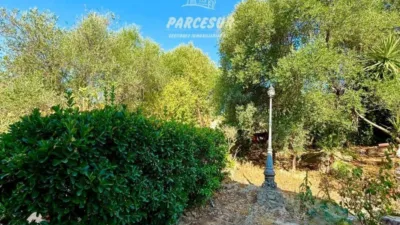 Rustic house in Cortijo de La Torre photo 43