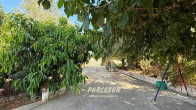 Rustic house in Cortijo de La Torre photo 32