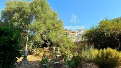 Rustic house in Cortijo de La Torre photo 26