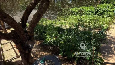Rustic House in Cortijo de La Torre photo 45