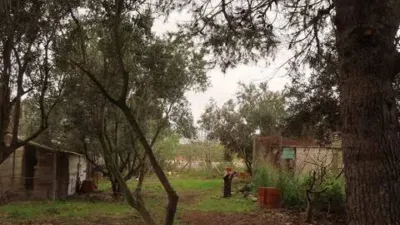 Rustic property in Campo Nubla-Tallante photo 36
