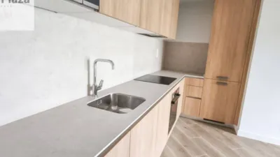 Apartment in Lasesarre photo 12