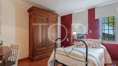 Rustic house in Santiago del Teide photo 20