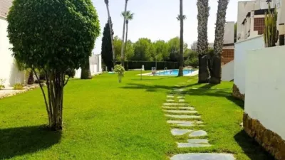 Apartment in Orihuela photo 41