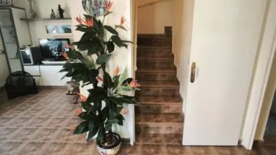 Casa – Torrevieja - Vista 4