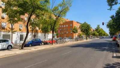 Apartment in Pino Montano photo 22