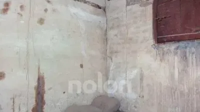 Terraced house in Cintruénigo photo 34