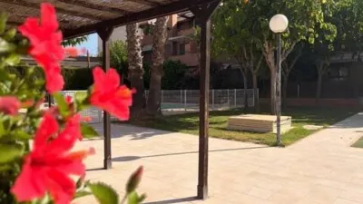 House in Murcia Capital photo 71