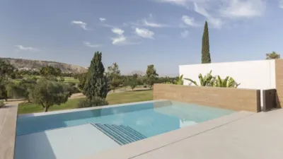 Chalet en Algorfa photo 31