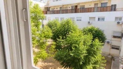 Apartment in Pino Montano photo 11