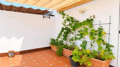 Apartment in Pino Montano photo 4