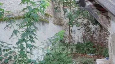 Terraced house in Cintruénigo photo 35