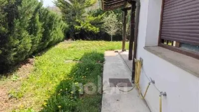 Chalet in Murgia photo 3