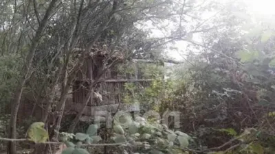 Chalet in Aralde (Sobran) photo 3