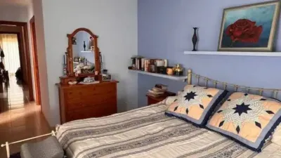 Chalet in Palafrugell photo 43