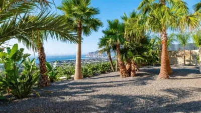 Chalet in La Fustera photo 32