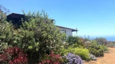 Chalet on Chio Street photo 22