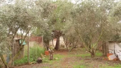 Rustic property in Campo Nubla-Tallante photo 32