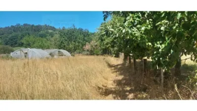 Rustic house in Silleda photo 17