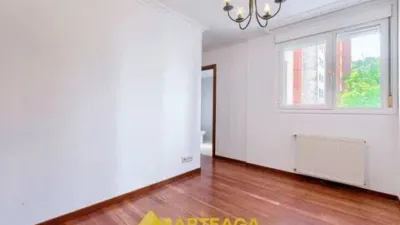 Flat in Grupo de Loitzaga photo 32