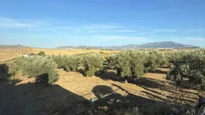 Rustic property in Cártama photo 52