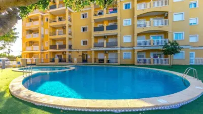 Pis – Torrevieja, Torre del Moro, Cabo Cervera-Playa la Mata - Vista 4