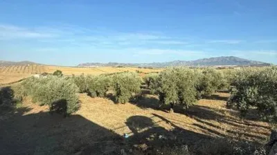 Rustic property in Cártama photo 50