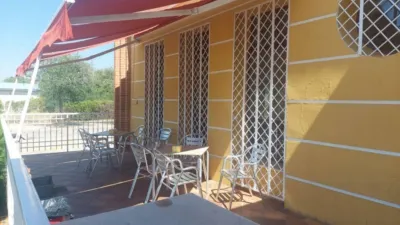 Miniatura 11