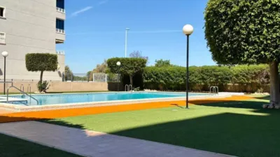 Apartment in Guardamar del Segura photo 20