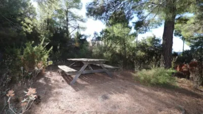 House in Castalla photo 44