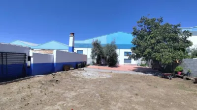 Rustic house in Dúrcal photo 10