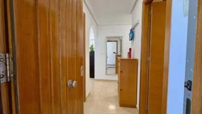 Apartment in Guardamar del Segura photo 10