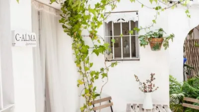 Flat in Vejer de la Frontera photo 5