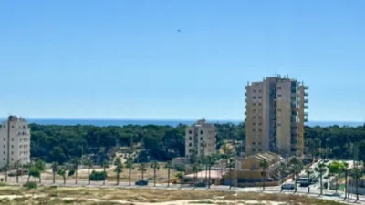 Apartment in Guardamar del Segura photo 19
