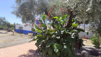 Rustic house in Dúrcal photo 14