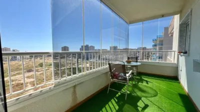 Apartment in Guardamar del Segura photo 8
