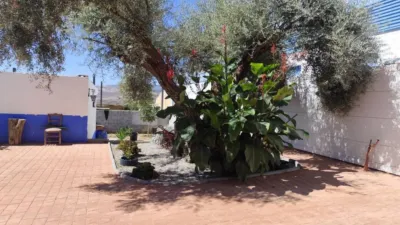 Rustic house in Dúrcal photo 11