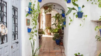 Flat in Vejer de la Frontera photo 28