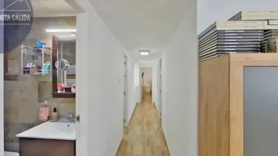 Apartment on Doctor Luis Prieto Street photo 19