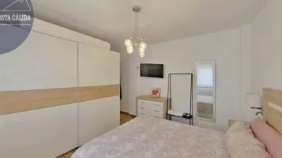 Apartment on Doctor Luis Prieto Street photo 11