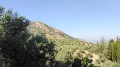 Rustic house on Calle Poligono 19 Paraje 72 Barrios, 54 photo 20