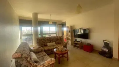 Pis – Santa Pola - Vista 4