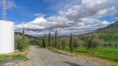 Chalet in Álora photo 63