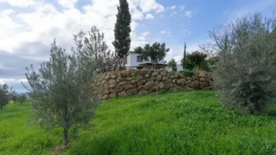 Chalet in Álora photo 60