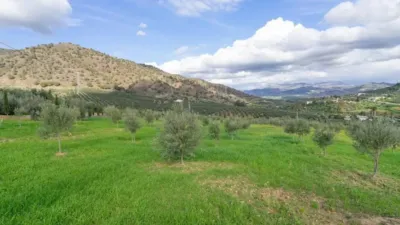 Chalet in Álora photo 68