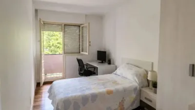 Apartment in Valle de Mena photo 6