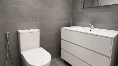 Apartment in Valle de Mena photo 5
