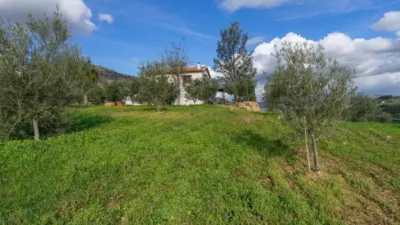 Chalet in Álora photo 57