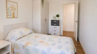 Apartment in Valle de Mena photo 22